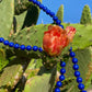 OCEAN cell phone chain CROSSBODY UPBEADS cactus flower summer accessory ocean colors